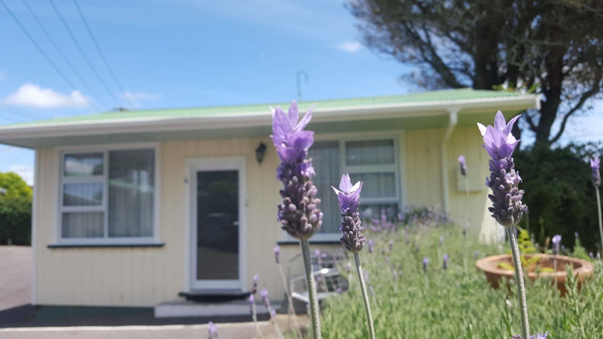 Timandra Motel New Plymouth Exterior photo